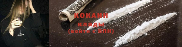 твердый Ельня