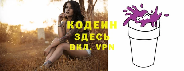 твердый Ельня