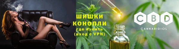 твердый Ельня