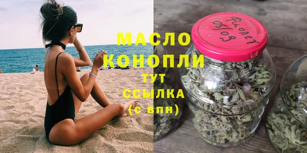 твердый Ельня