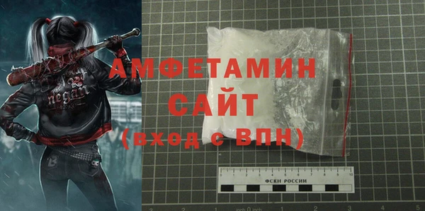 твердый Ельня