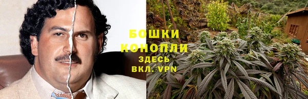 твердый Ельня