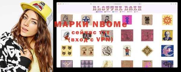 твердый Ельня