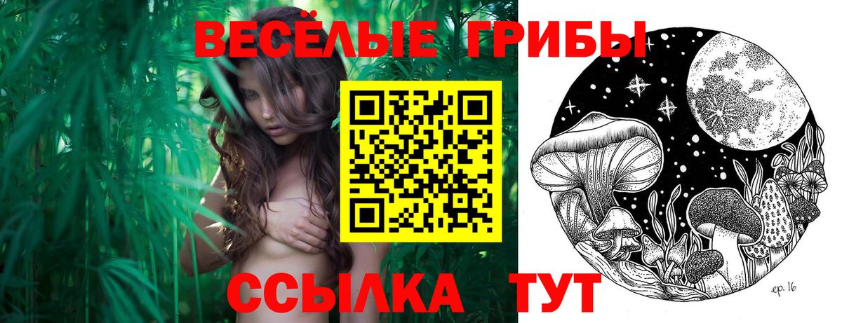 Галлюциногенные грибы Cubensis  Галлюциногенные грибы Psilocybine cubensis  Ростов-на-Дону 