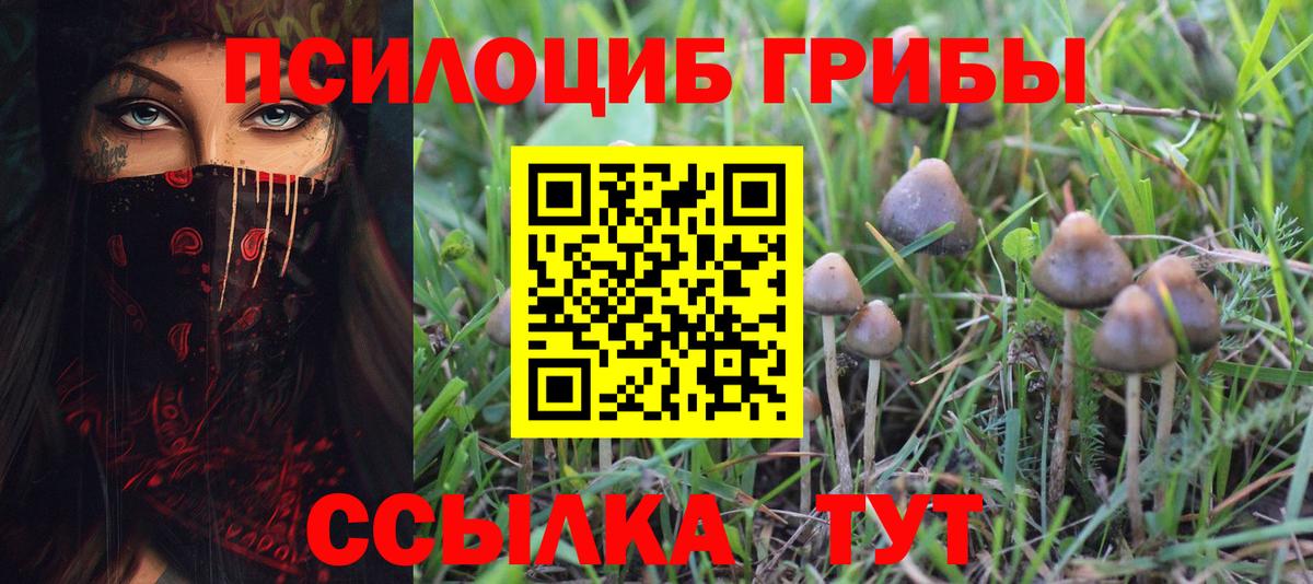 Галлюциногенные грибы прущие грибы Ростов-на-Дону